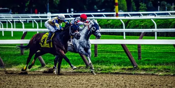 saratoga-springs-1785314-640-585x295
